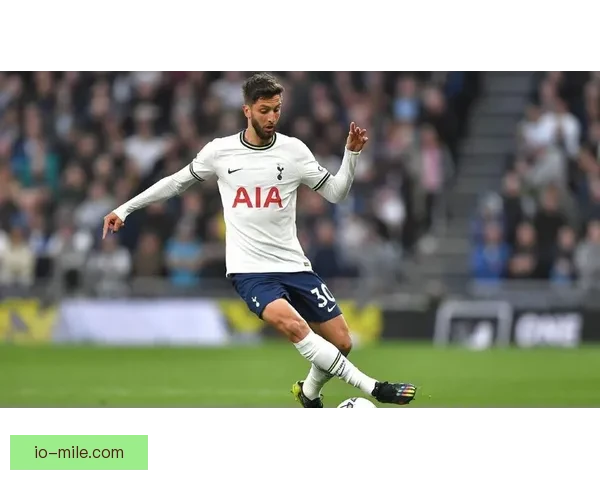 热刺官方宣布本坦库尔膝盖积水将缺席三周比赛安排受影响